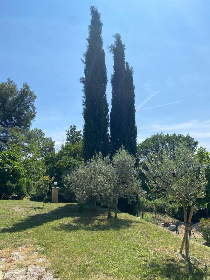 Вилла Les Oliviers Vaugines Экстерьер фото